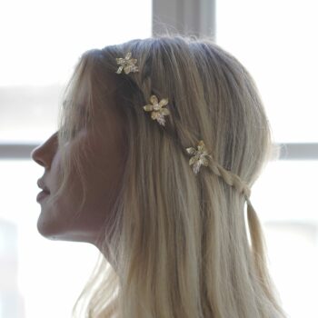 ‏‏DSC05159 עותק scaled 1